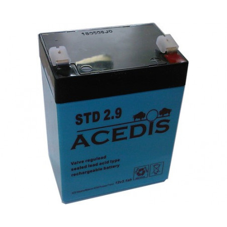 batterie Plomb 12V 2.9Ah (79L*55l*99h) - STD2.9