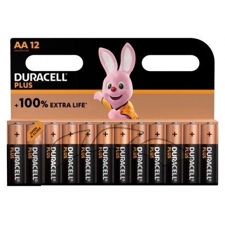 Pile alcaline LR06 MN1500 Duracell PLUS 100% blister de 12 - LR06DUR100B12