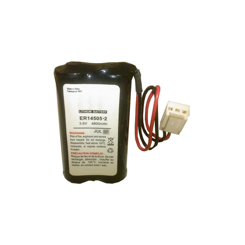 Montage alarme 2LS14500 parallele 3.6V 4.8Ah ref5233 - BATLI05